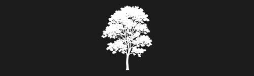 Linden 3 brush stroke preview from Tree Stamps for Procreate