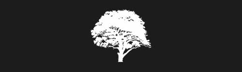 Oak 4 brush stroke preview from Tree Stamps for Procreate