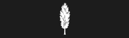 Poplar 4 brush stroke preview from Tree Stamps for Procreate