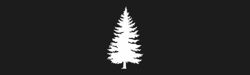 Spruce 16 brush stroke preview from Tree Stamps for Procreate