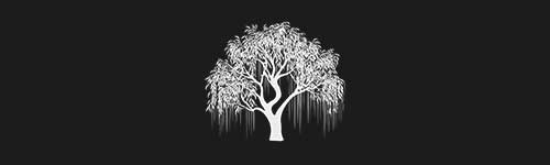 Willow 1 brush stroke preview from Tree Stamps for Procreate
