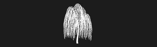 Willow 3 brush stroke preview from Tree Stamps for Procreate