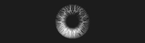 Classic Iris brush stroke preview from Eye Master for Procreate
